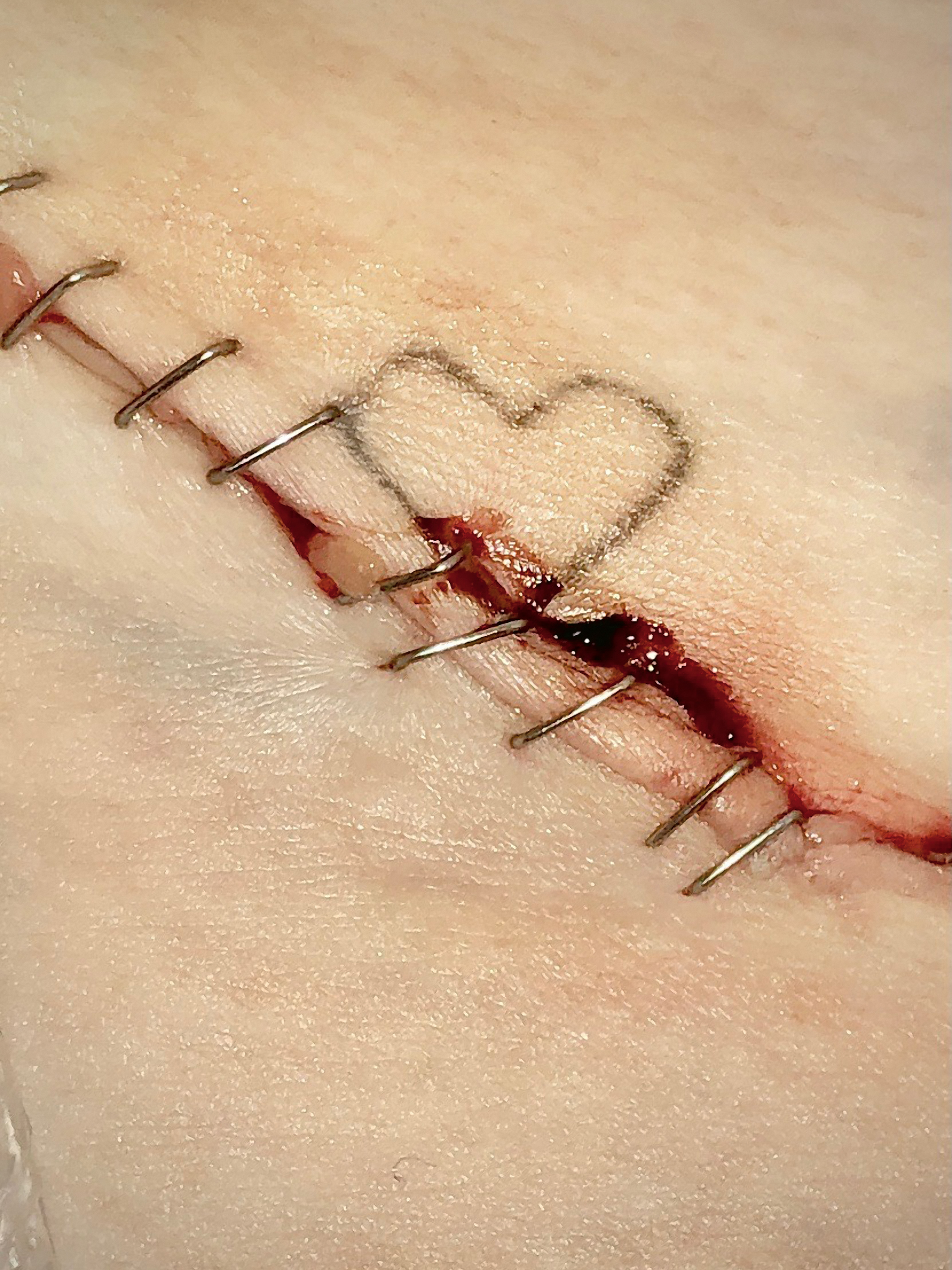 Frida Forever, elendig natur og spændende nyt fra vores egen verden