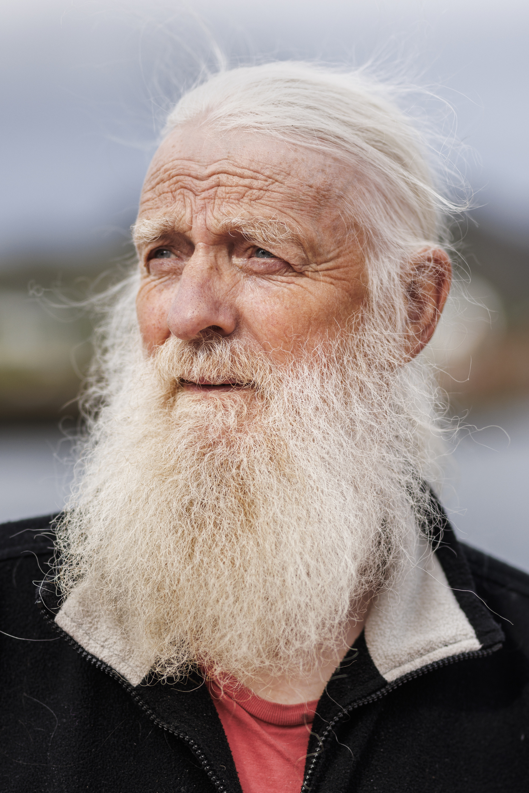 Døde hvaler, to bøger om familie og en enkelt klage