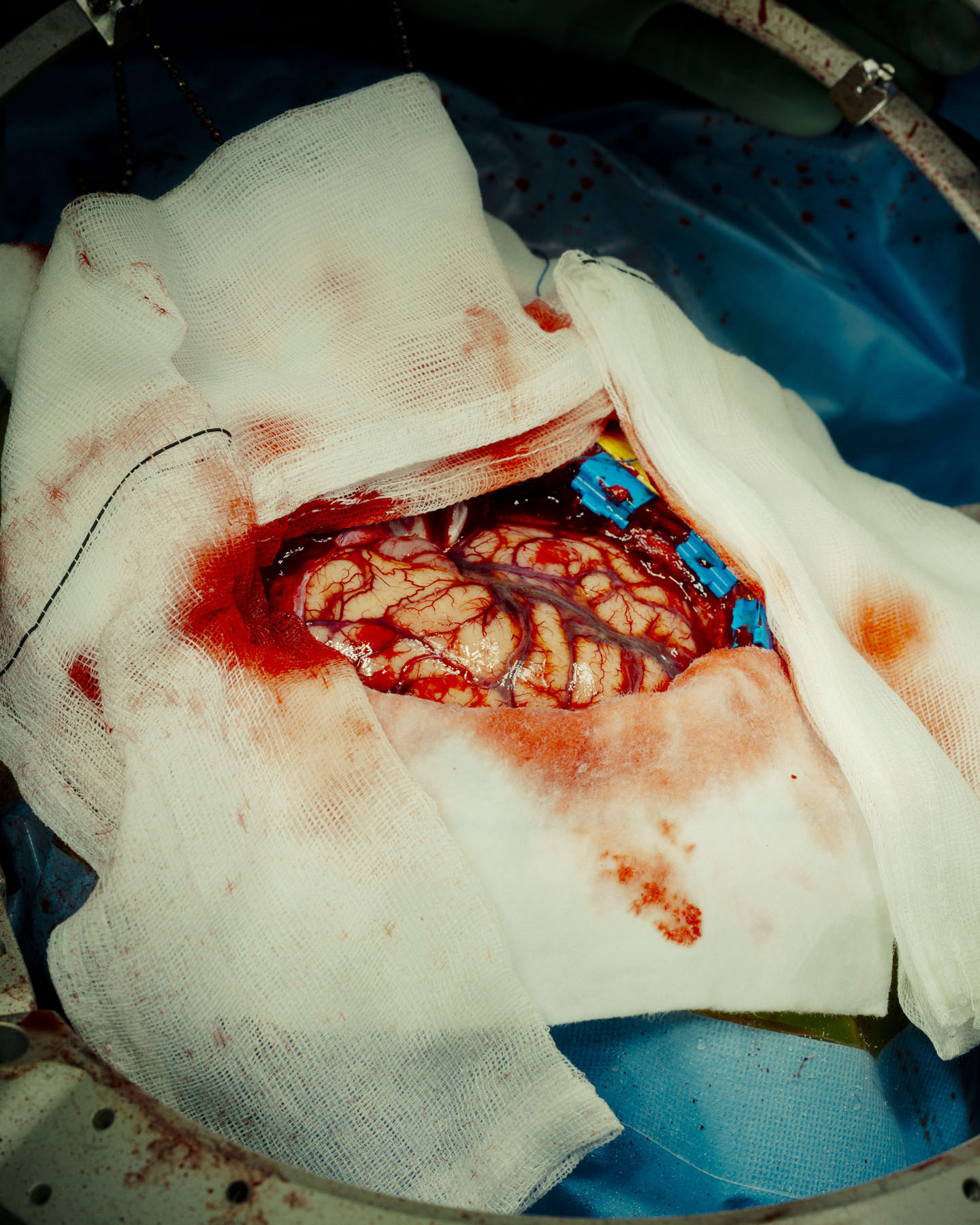 Inuuteq Storch i Venedig, Casper Dalhoff udgiver (endelig) sin bog, nye udstillinger og et par kommentarer til Årets Pressefoto