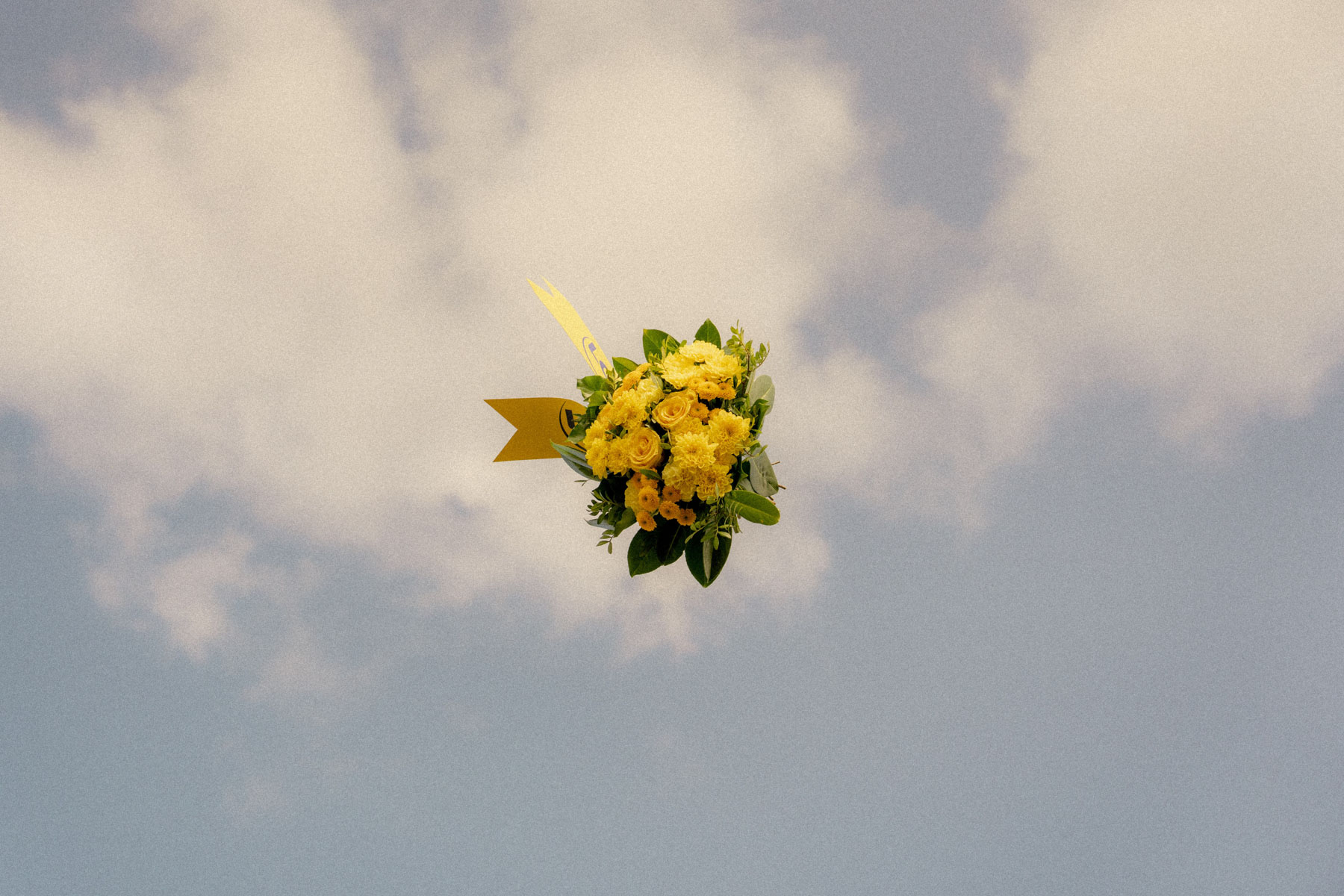 Inuuteq Storch i Venedig, Casper Dalhoff udgiver (endelig) sin bog, nye udstillinger og et par kommentarer til Årets Pressefoto