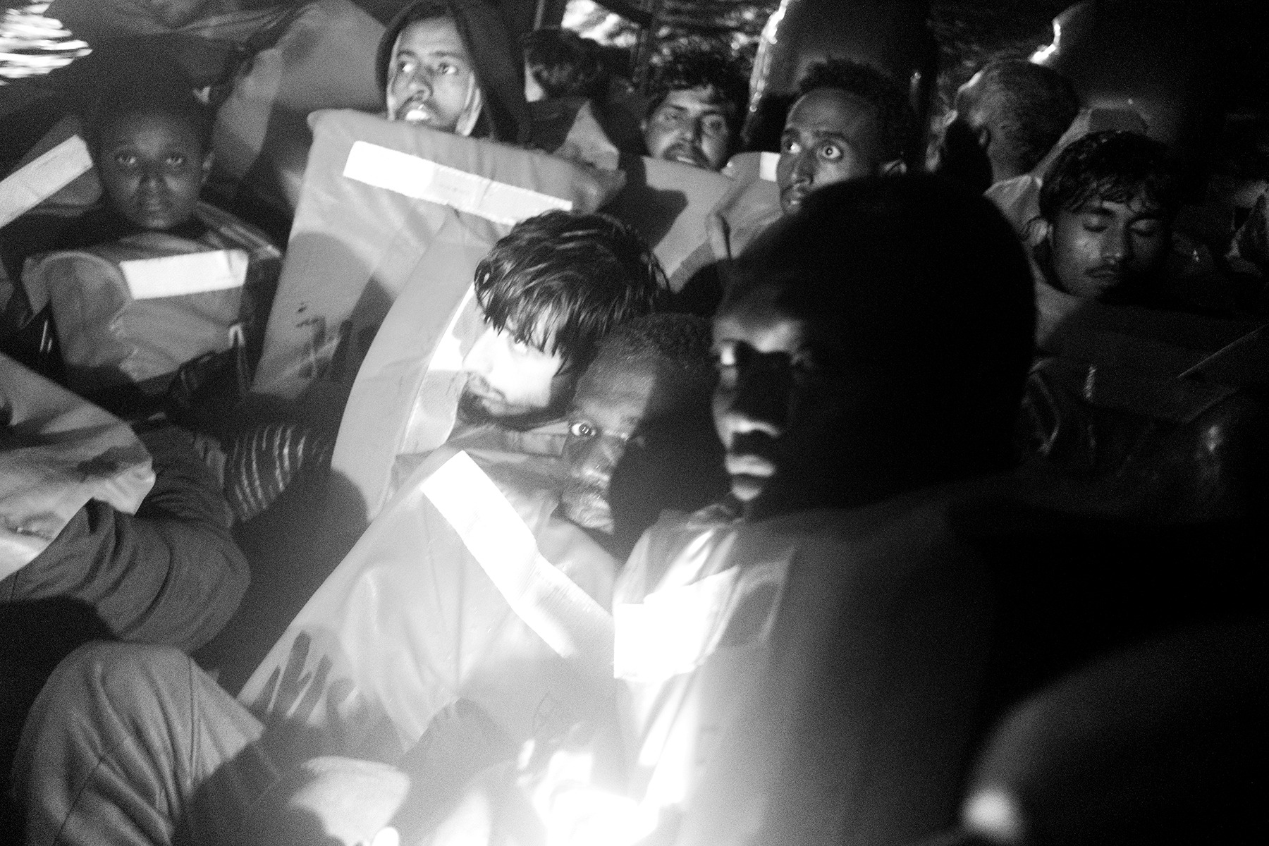 Døde hvaler, to bøger om familie og en enkelt klage