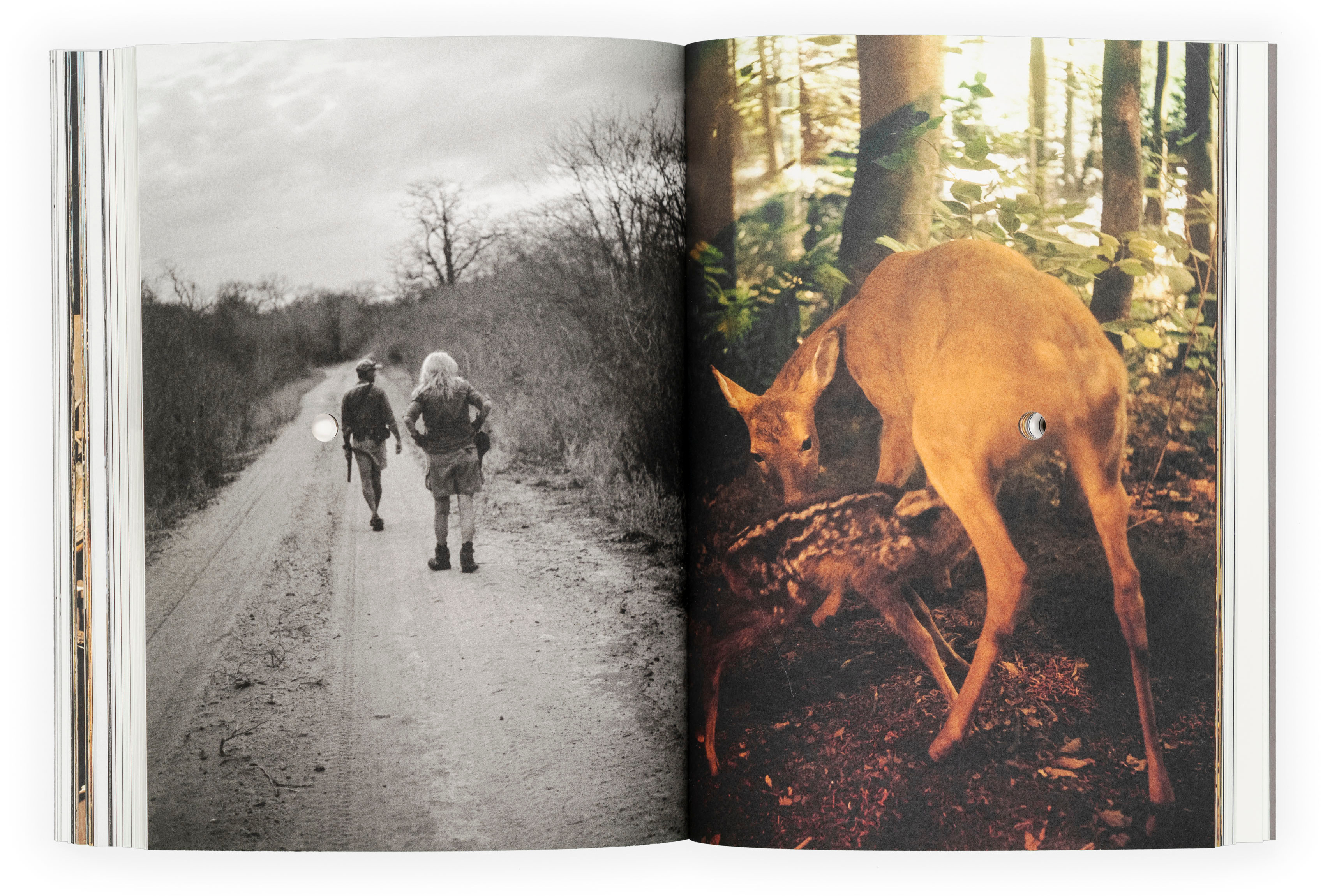 Døde hvaler, to bøger om familie og en enkelt klage