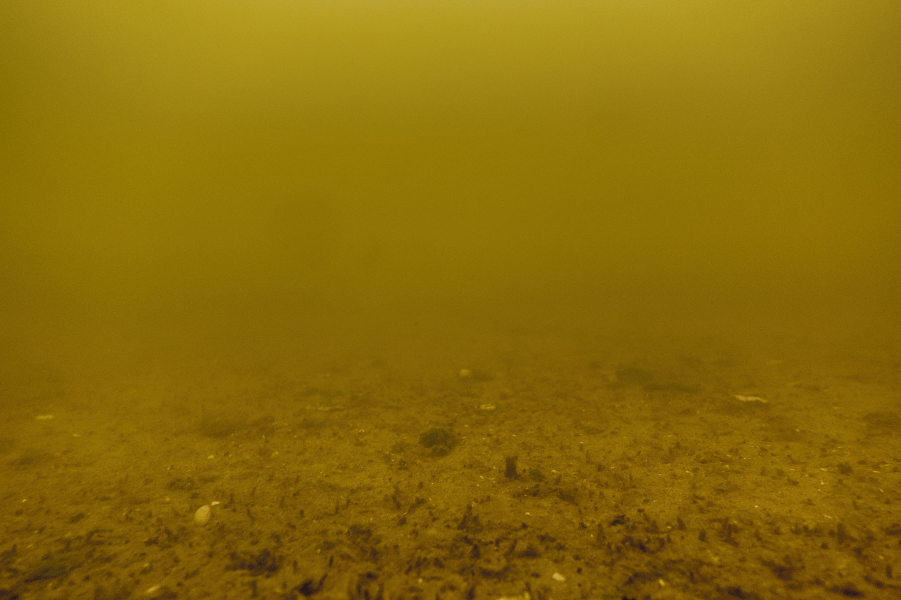 Inuuteq Storch i Venedig, Casper Dalhoff udgiver (endelig) sin bog, nye udstillinger og et par kommentarer til Årets Pressefoto