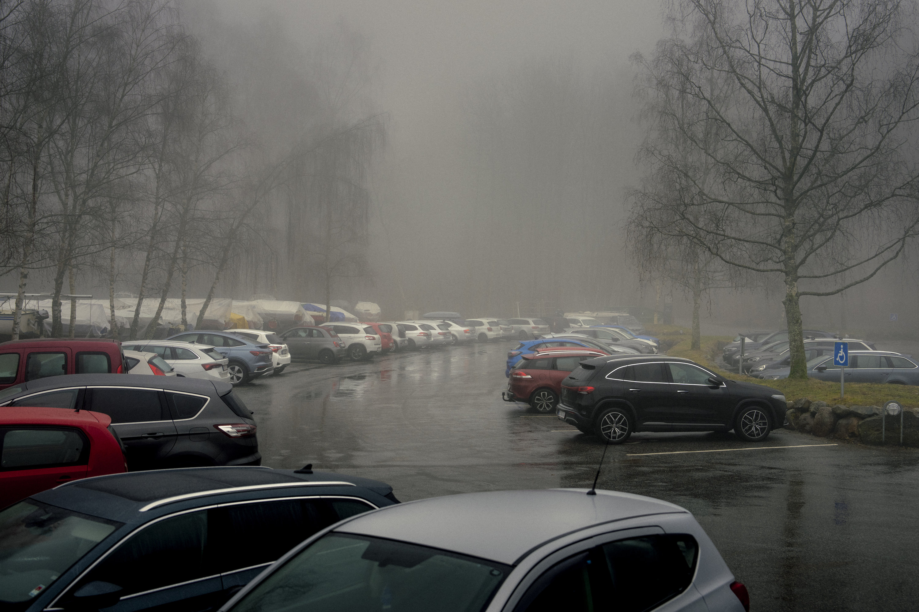 Frida Forever, elendig natur og spændende nyt fra vores egen verden