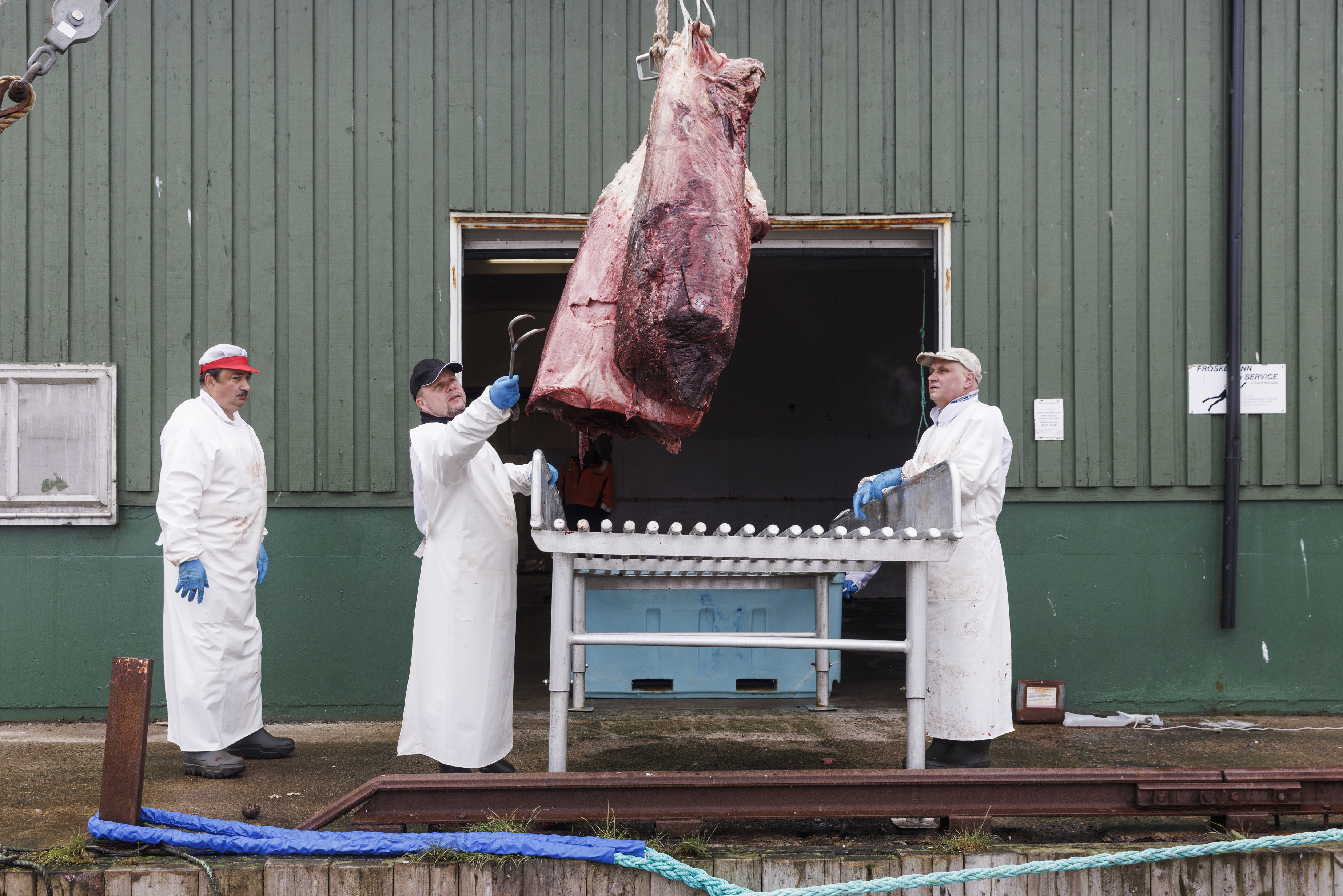 Døde hvaler, to bøger om familie og en enkelt klage