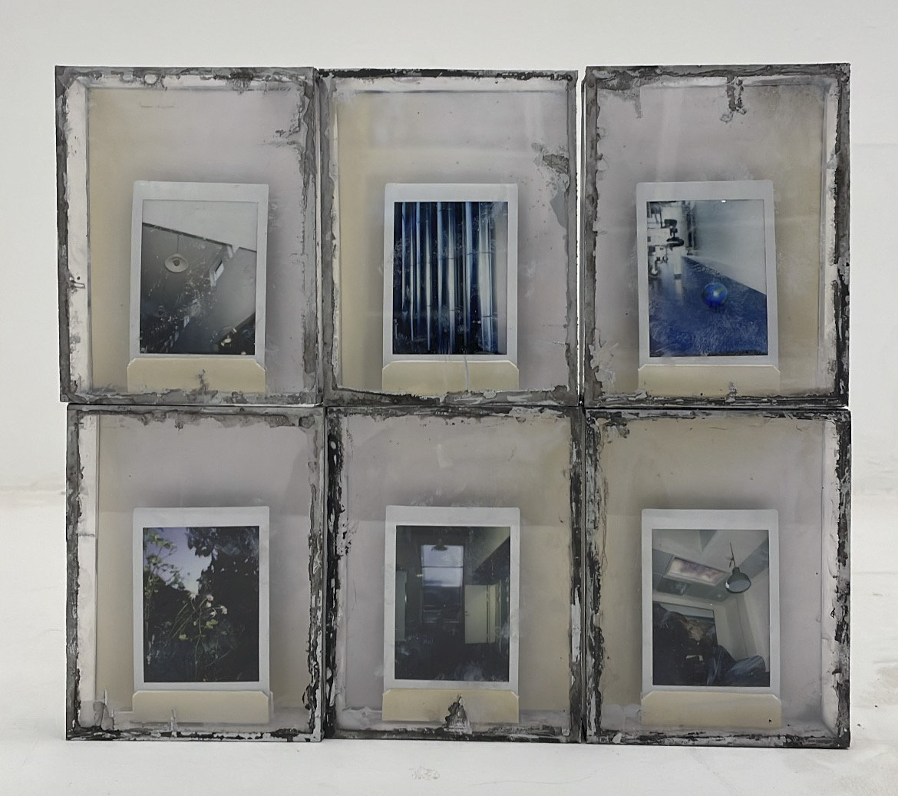 Frida Forever, elendig natur og spændende nyt fra vores egen verden