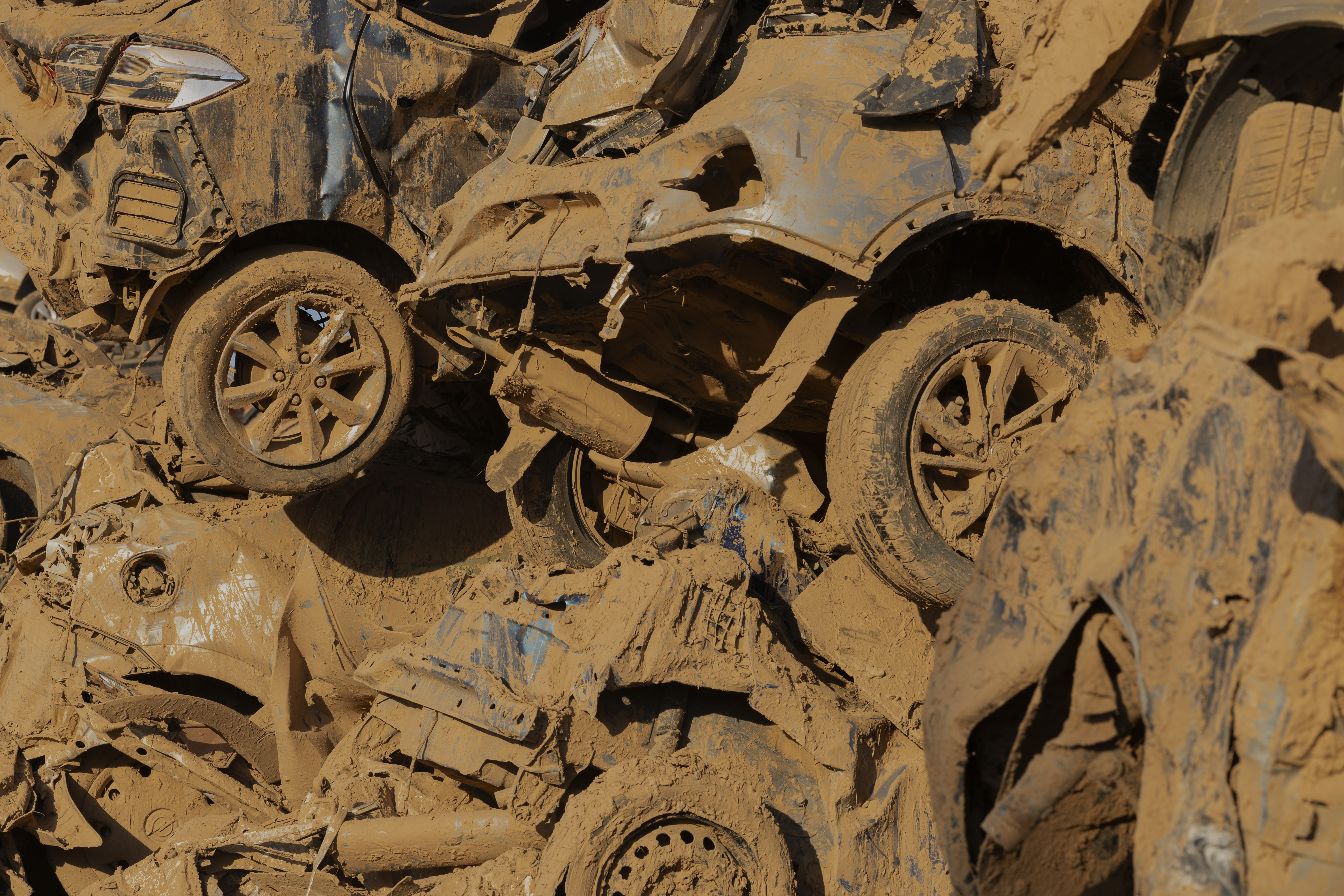 Frida Forever, elendig natur og spændende nyt fra vores egen verden