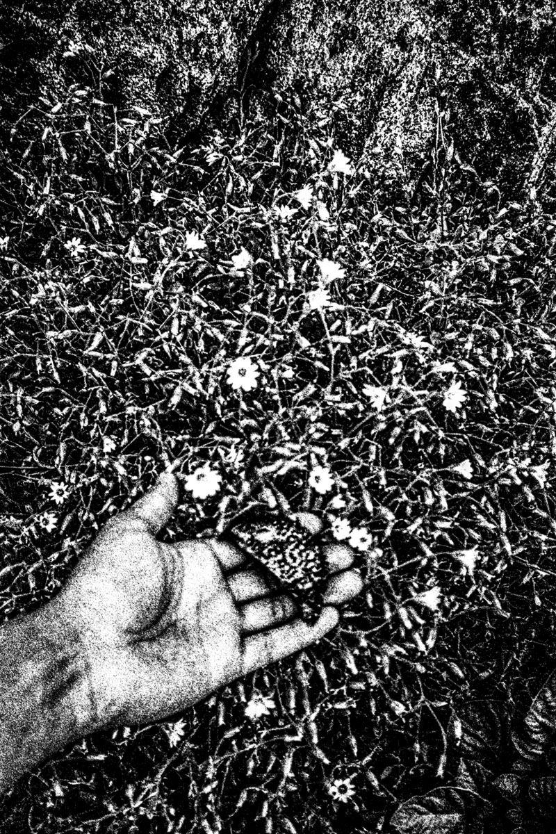 Inuuteq Storch i Venedig, Casper Dalhoff udgiver (endelig) sin bog, nye udstillinger og et par kommentarer til Årets Pressefoto