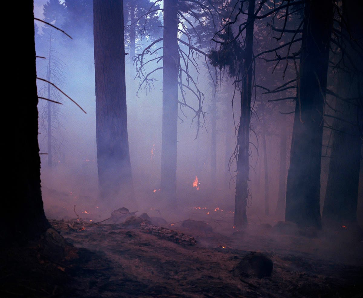 Ulve, brande, overspisning, rådne lig og folk på seriøs druk.