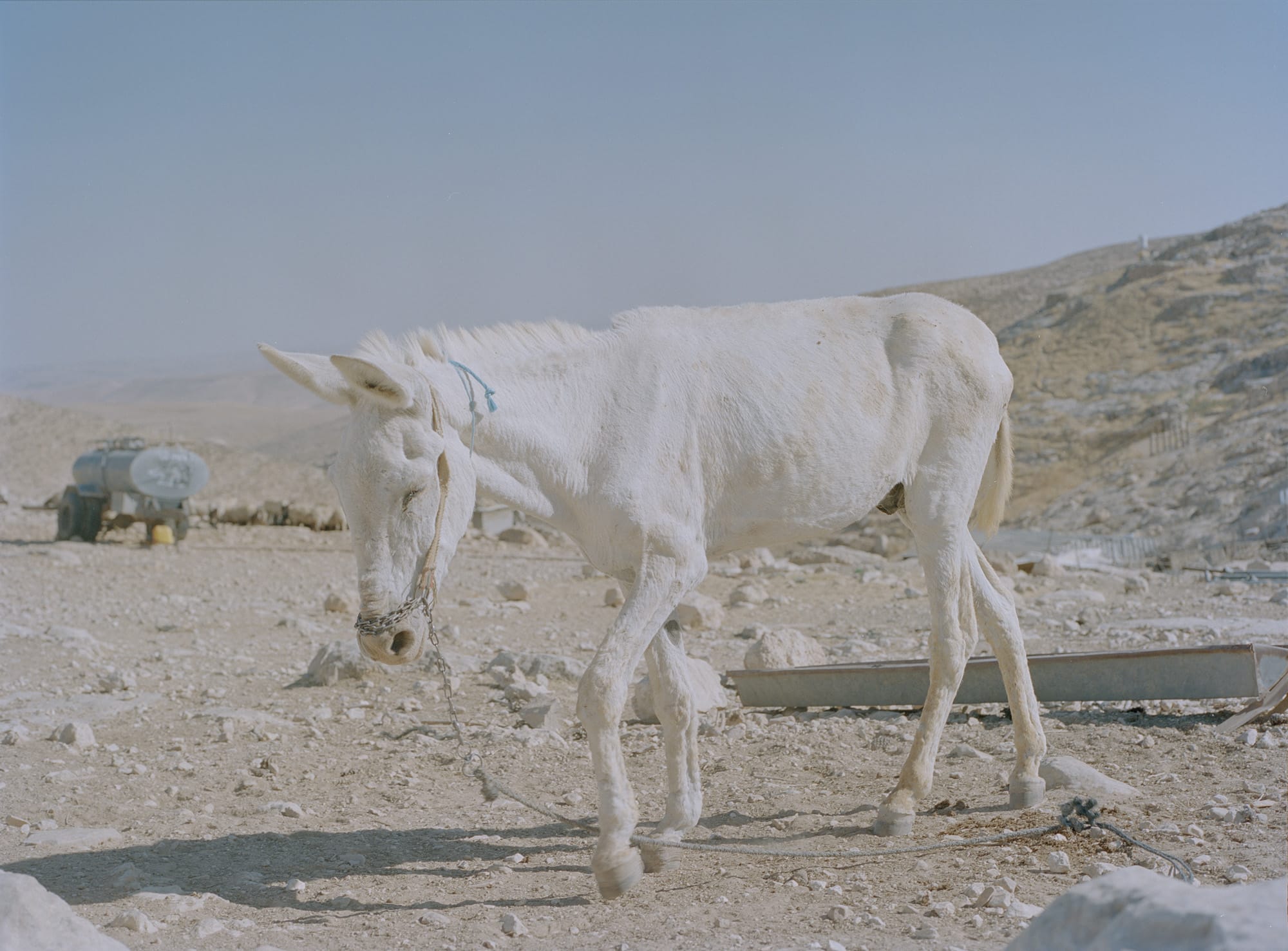 Historier fra Vestbredden, gode fester, dårlig narko, spændende visuelle koncepter (og næsten intet om Jan Grarup)