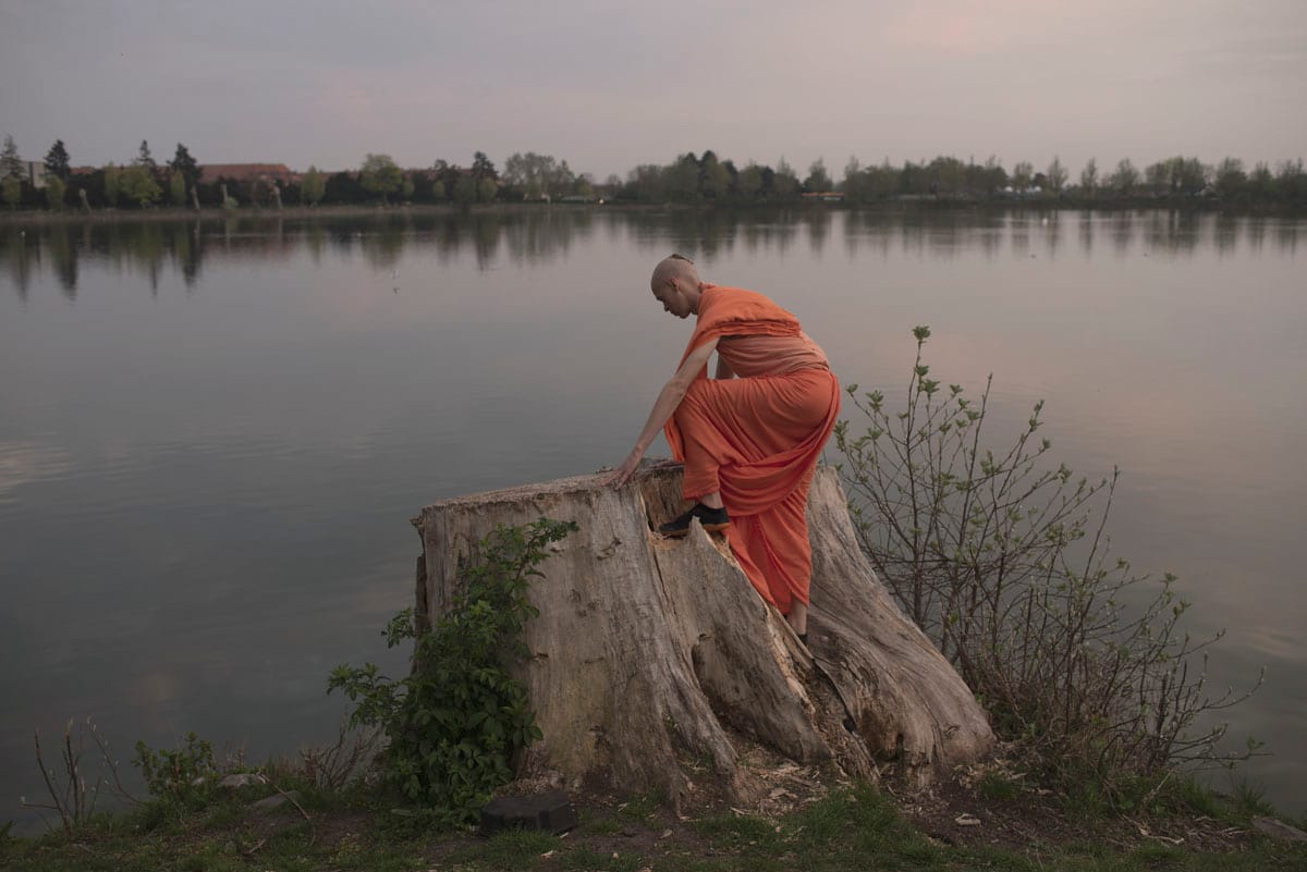 En massiv shitstorm, et 70 km langt vildsvinehegn, et mord og en italiener ved navn Enzo
