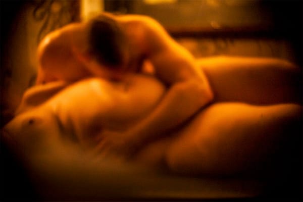 Tryghed i swingerklubben, et ton kanel i en løvblæser, fotografier af verdens ældste organisme og privatbilleder fra da Tejs fyldte 18