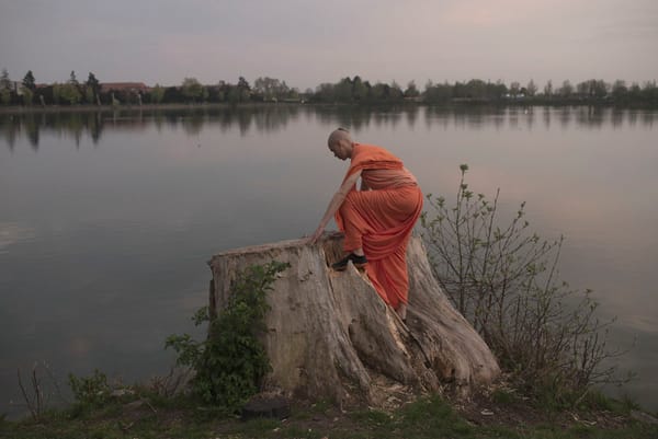 En massiv shitstorm, et 70 km langt vildsvinehegn, et mord og en italiener ved navn Enzo